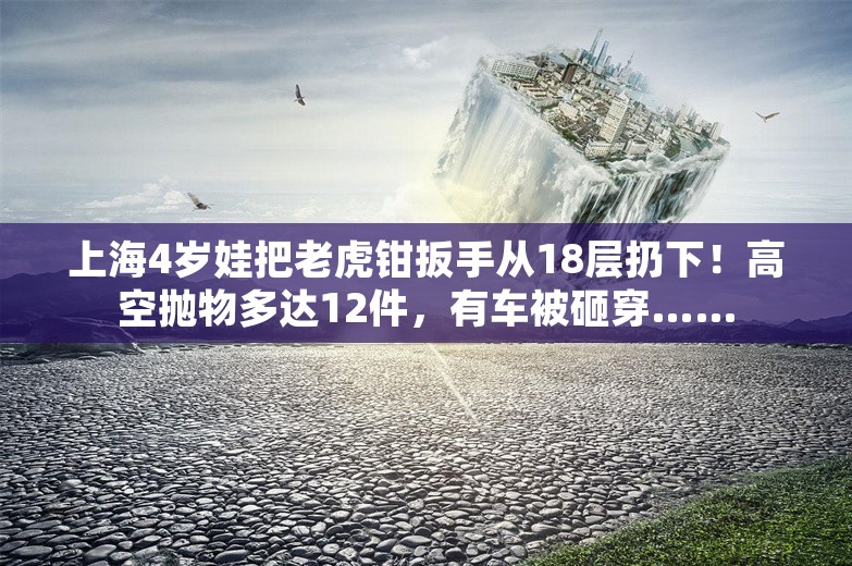 上海4岁娃把老虎钳扳手从18层扔下！高空抛物多达12件，有车被砸穿……