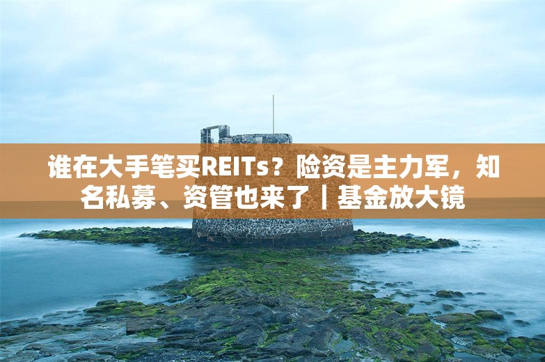 谁在大手笔买REITs？险资是主力军，知名私募、资管也来了｜基金放大镜