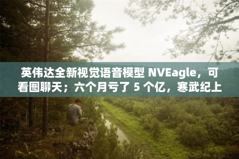 英伟达全新视觉语音模型 NVEagle，可看图聊天；六个月亏了 5 个亿，寒武纪上半年营收仅 6476 万丨AI情报局