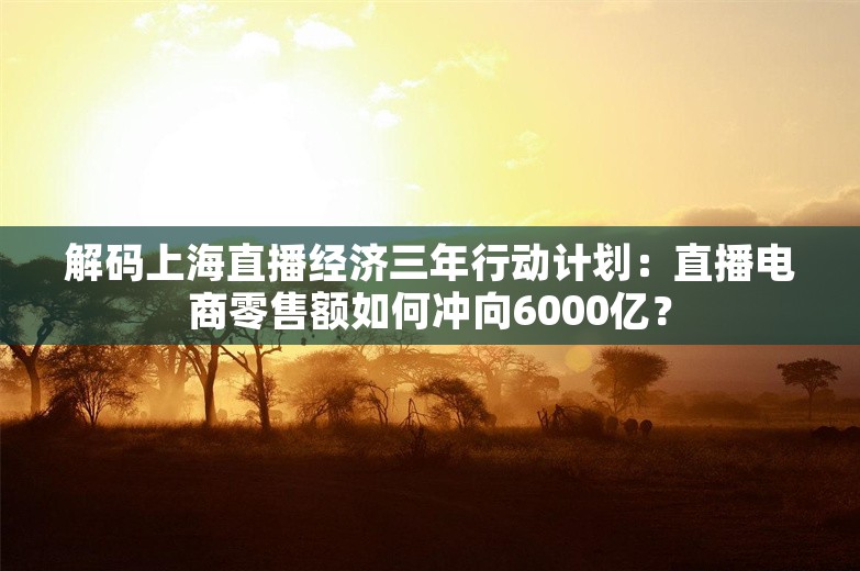 解码上海直播经济三年行动计划：直播电商零售额如何冲向6000亿？