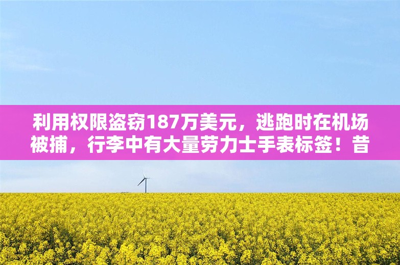 利用权限盗窃187万美元，逃跑时在机场被捕，行李中有大量劳力士手表标签！昔日金融精英，凉凉！