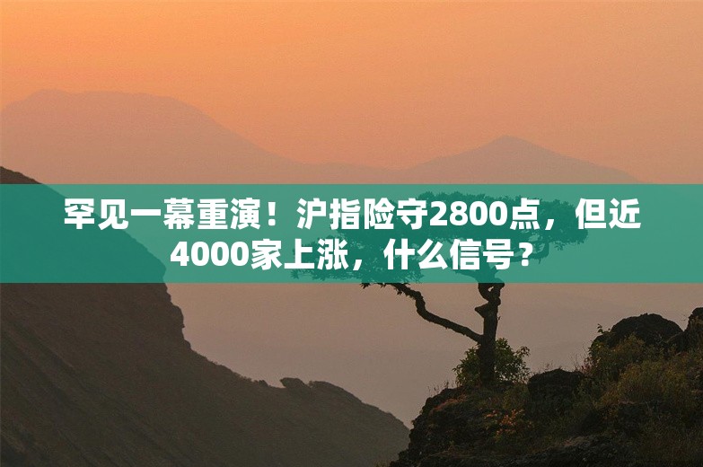 罕见一幕重演！沪指险守2800点，但近4000家上涨，什么信号？