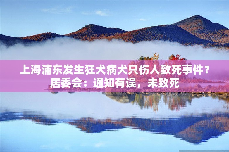 上海浦东发生狂犬病犬只伤人致死事件？居委会：通知有误，未致死