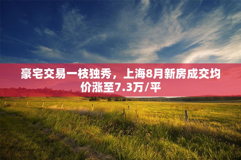 豪宅交易一枝独秀，上海8月新房成交均价涨至7.3万/平