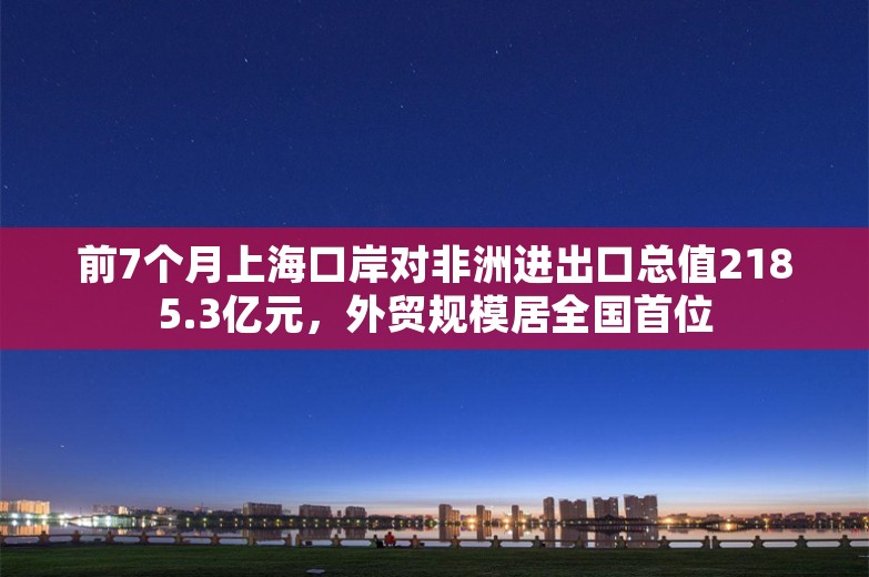 前7个月上海口岸对非洲进出口总值2185.3亿元，外贸规模居全国首位