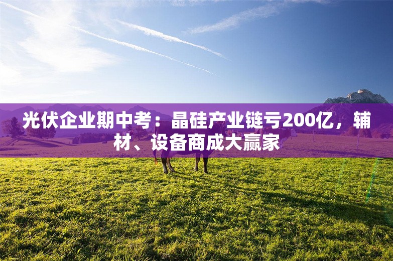 光伏企业期中考：晶硅产业链亏200亿，辅材、设备商成大赢家