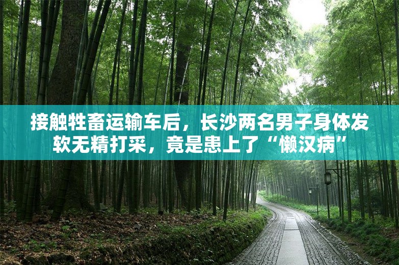 接触牲畜运输车后，长沙两名男子身体发软无精打采，竟是患上了“懒汉病”