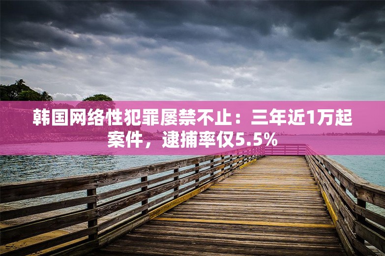 韩国网络性犯罪屡禁不止：三年近1万起案件，逮捕率仅5.5%