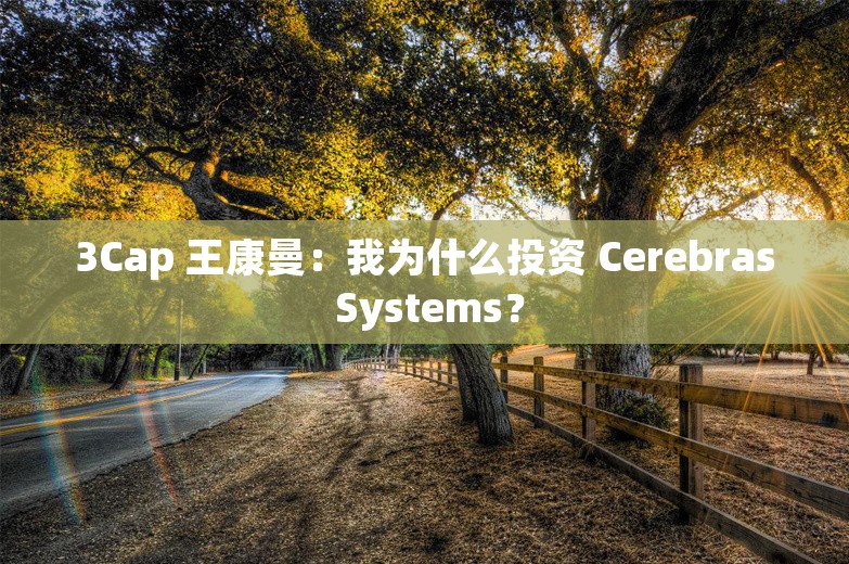 3Cap 王康曼：我为什么投资 Cerebras Systems？