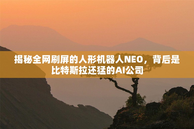 揭秘全网刷屏的人形机器人NEO，背后是比特斯拉还猛的AI公司