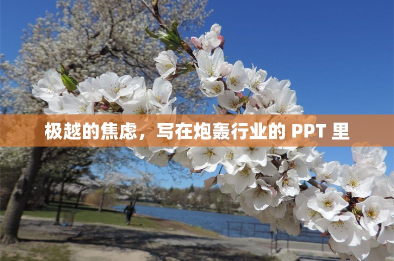 极越的焦虑，写在炮轰行业的 PPT 里