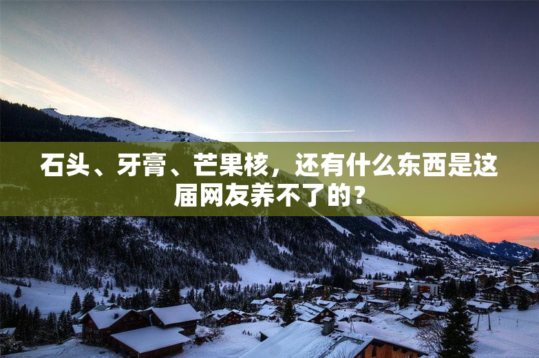 石头、牙膏、芒果核，还有什么东西是这届网友养不了的？