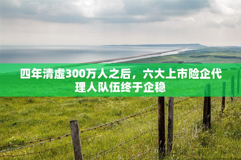 四年清虚300万人之后，六大上市险企代理人队伍终于企稳