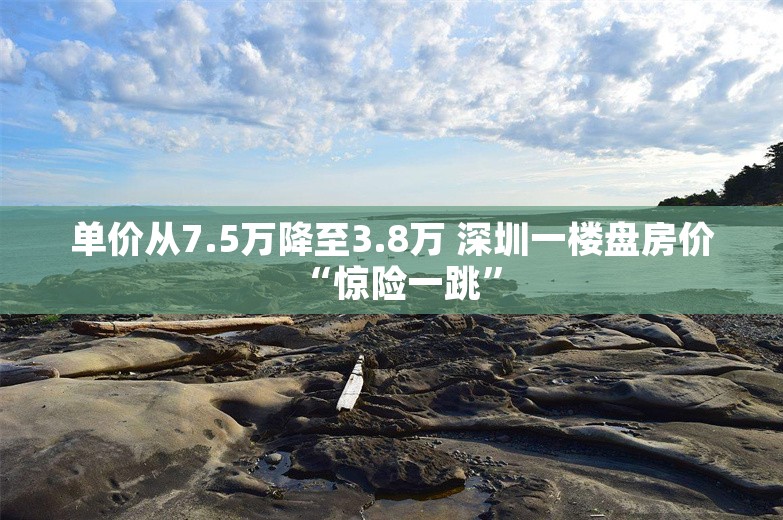 单价从7.5万降至3.8万 深圳一楼盘房价“惊险一跳”