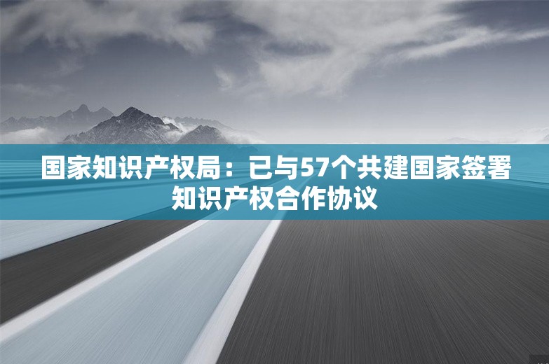 国家知识产权局：已与57个共建国家签署知识产权合作协议