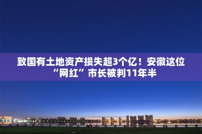 致国有土地资产损失超3个亿！安徽这位“网红”市长被判11年半