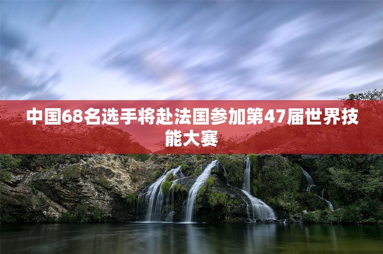 中国68名选手将赴法国参加第47届世界技能大赛