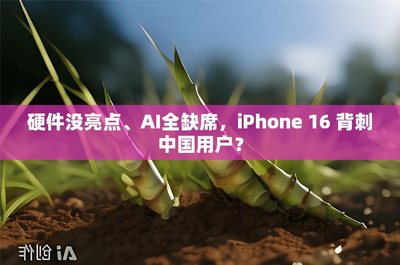 硬件没亮点、AI全缺席，iPhone 16 背刺中国用户？