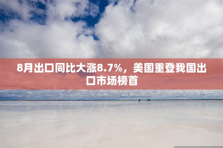 8月出口同比大涨8.7%，美国重登我国出口市场榜首