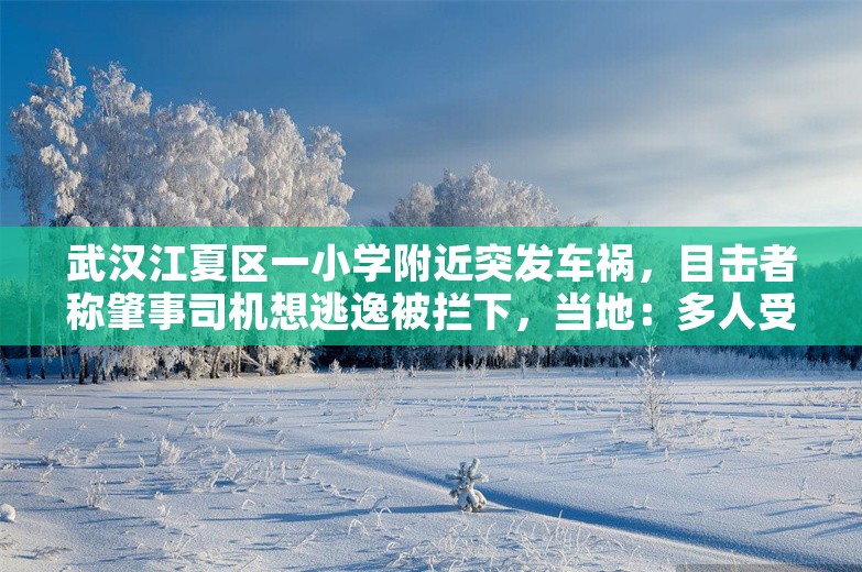 武汉江夏区一小学附近突发车祸，目击者称肇事司机想逃逸被拦下，当地：多人受伤