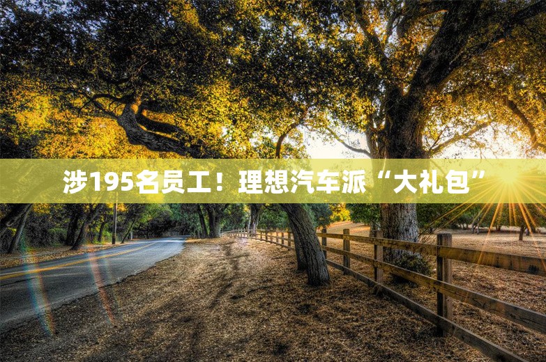 涉195名员工！理想汽车派“大礼包”