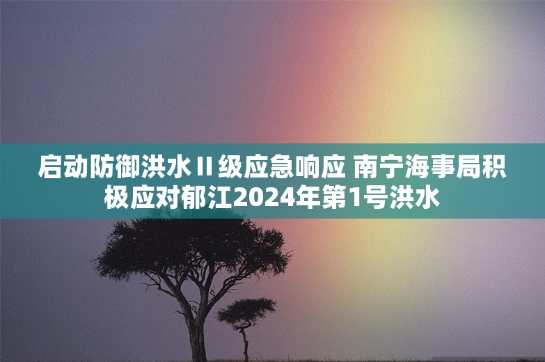 启动防御洪水Ⅱ级应急响应 南宁海事局积极应对郁江2024年第1号洪水