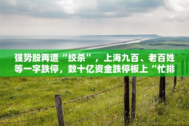 强势股再遭“绞杀”，上海九百、老百姓等一字跌停，数十亿资金跌停板上“忙排队”