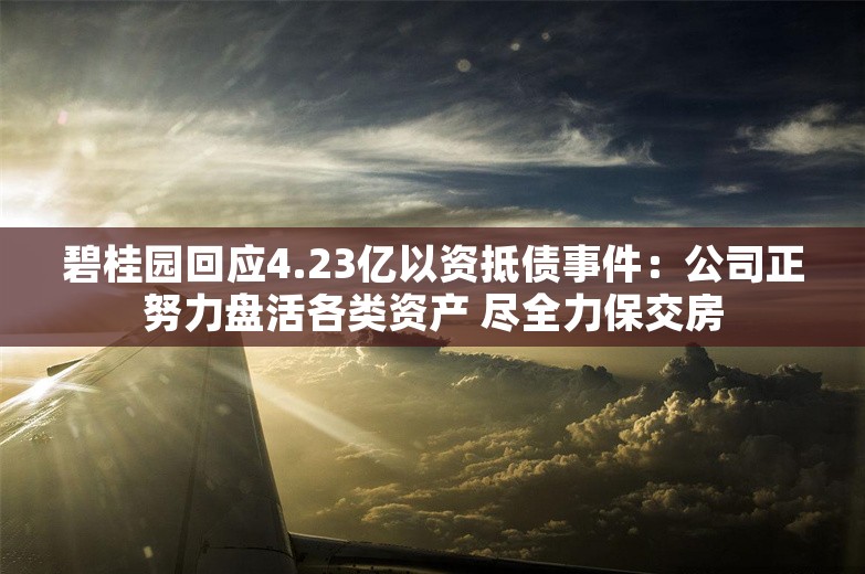 碧桂园回应4.23亿以资抵债事件：公司正努力盘活各类资产 尽全力保交房