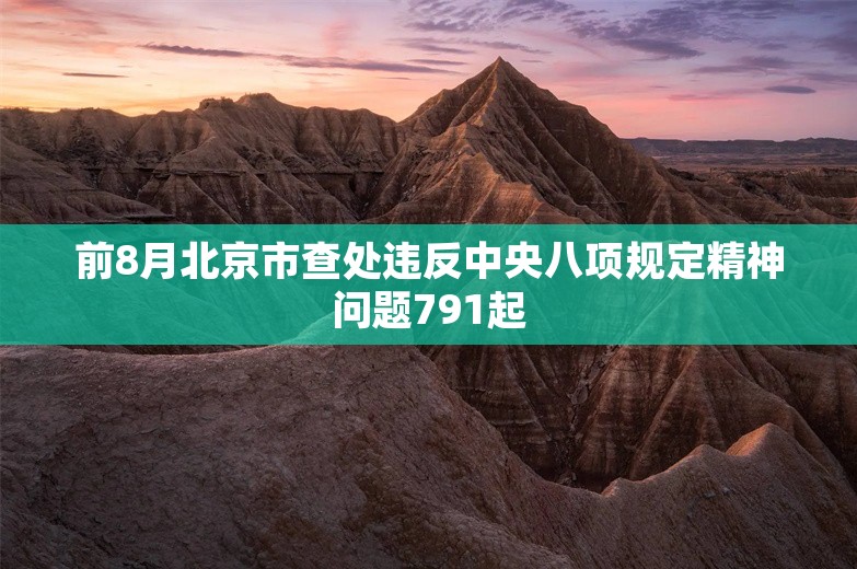 前8月北京市查处违反中央八项规定精神问题791起