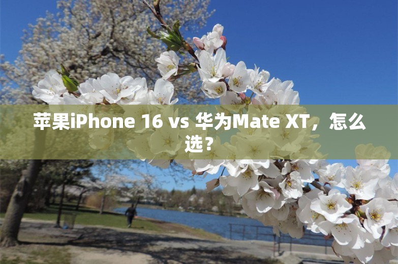 苹果iPhone 16 vs 华为Mate XT，怎么选？