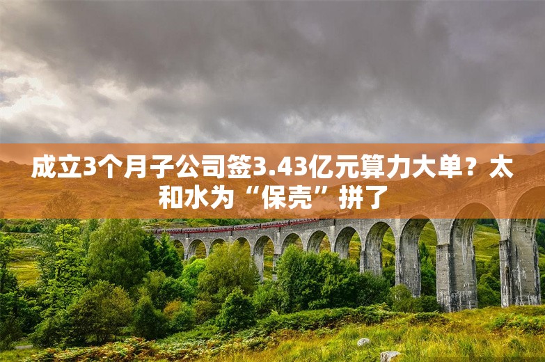 成立3个月子公司签3.43亿元算力大单？太和水为“保壳”拼了