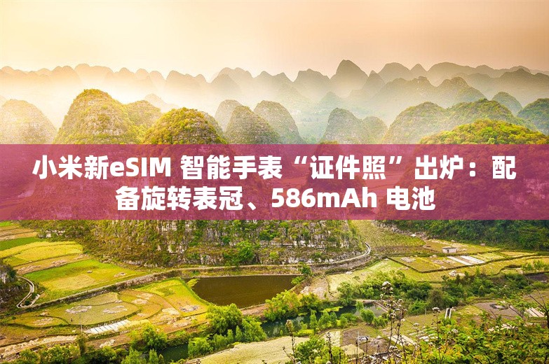 小米新eSIM 智能手表“证件照”出炉：配备旋转表冠、586mAh 电池