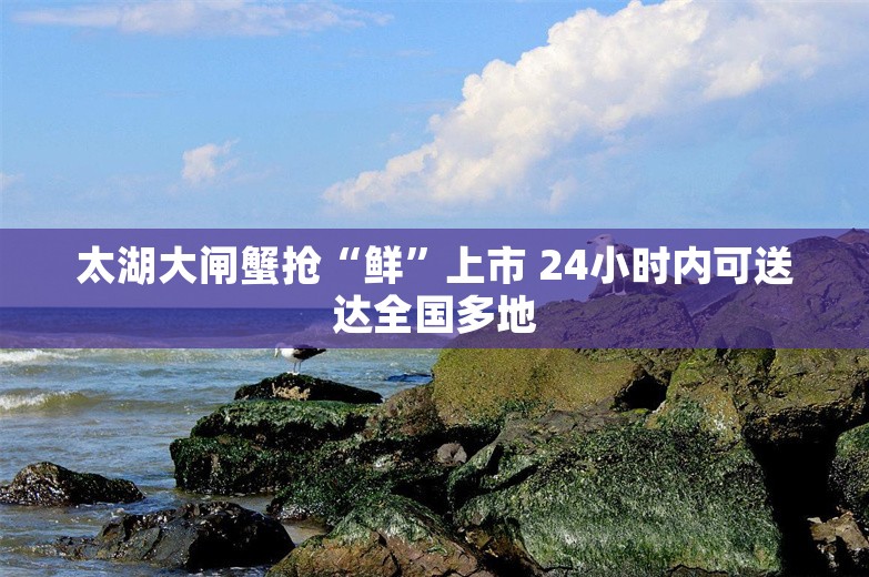 太湖大闸蟹抢“鲜”上市 24小时内可送达全国多地