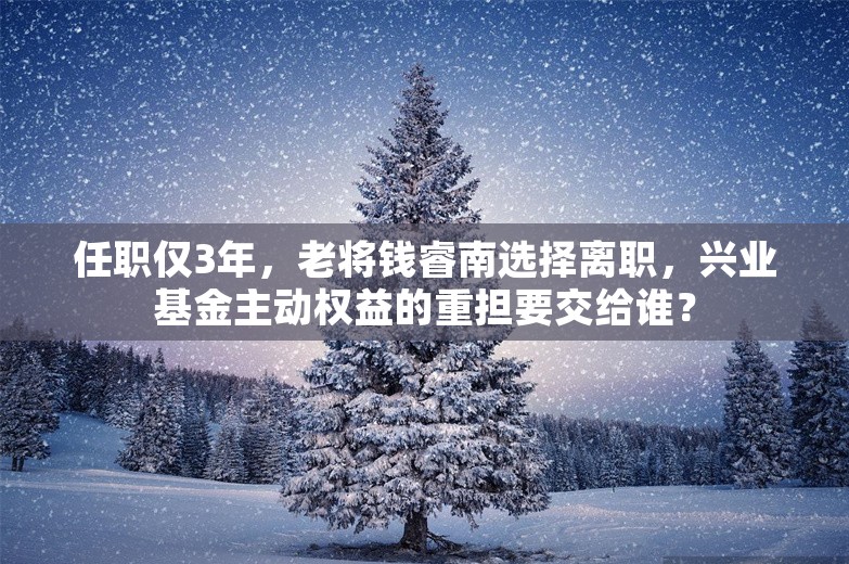 任职仅3年，老将钱睿南选择离职，兴业基金主动权益的重担要交给谁？