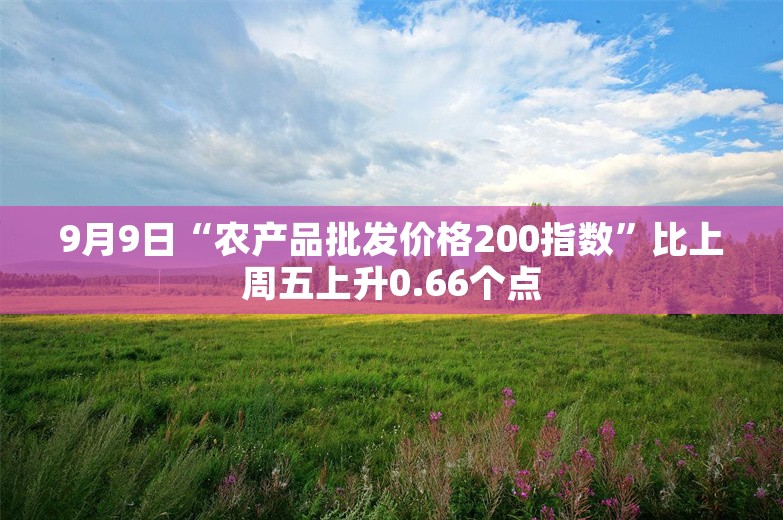 9月9日“农产品批发价格200指数”比上周五上升0.66个点