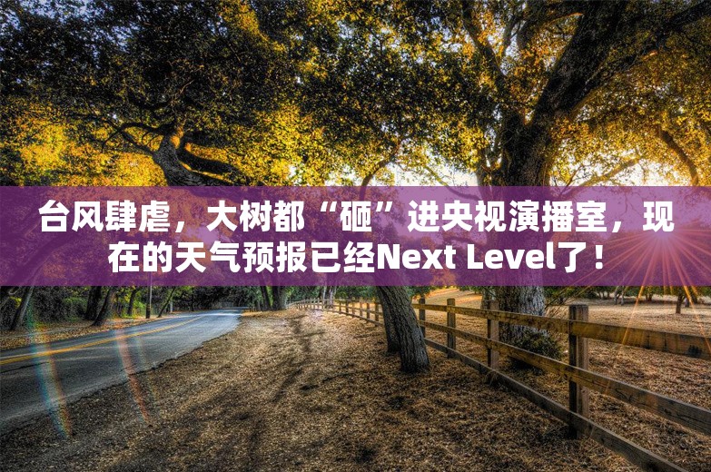 台风肆虐，大树都“砸”进央视演播室，现在的天气预报已经Next Level了！