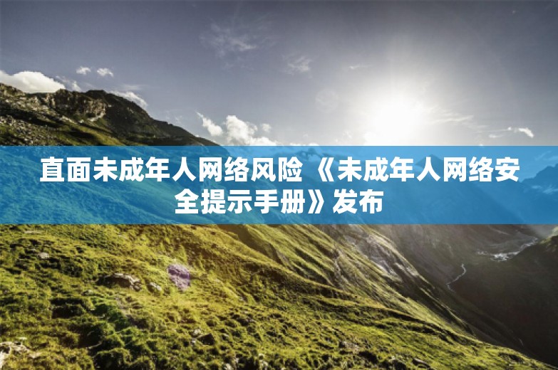 直面未成年人网络风险 《未成年人网络安全提示手册》发布