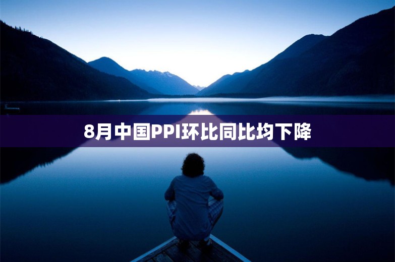 8月中国PPI环比同比均下降