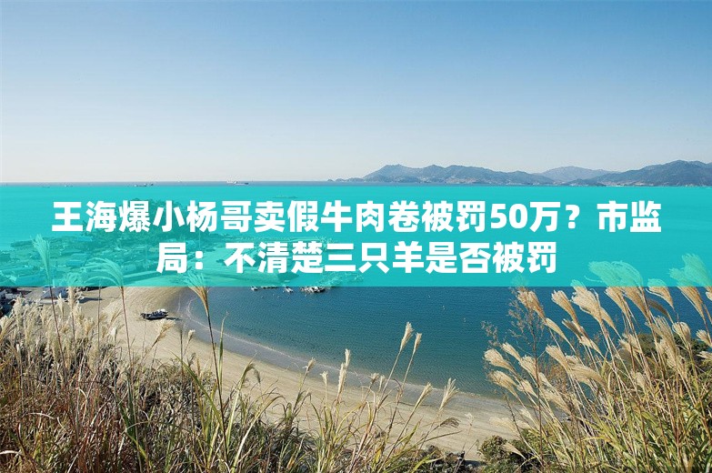 王海爆小杨哥卖假牛肉卷被罚50万？市监局：不清楚三只羊是否被罚