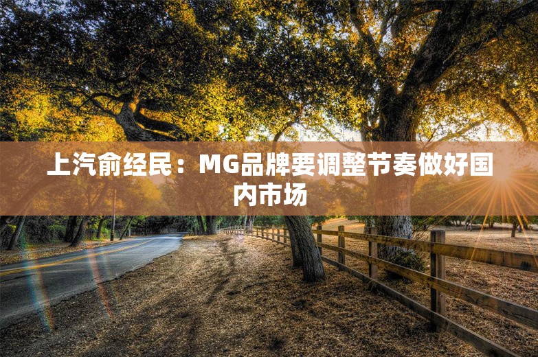 上汽俞经民：MG品牌要调整节奏做好国内市场