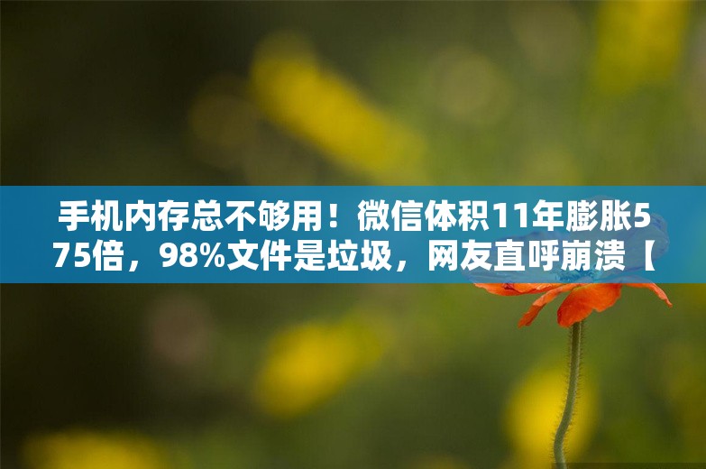 手机内存总不够用！微信体积11年膨胀575倍，98%文件是垃圾，网友直呼崩溃【附移动互联网行业市场现状】