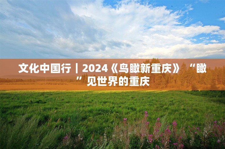 文化中国行｜2024《鸟瞰新重庆》 “瞰”见世界的重庆