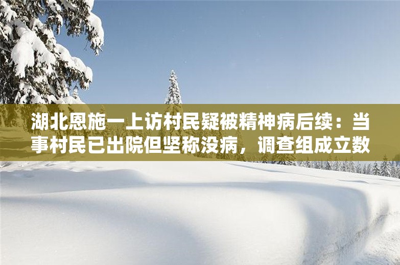 湖北恩施一上访村民疑被精神病后续：当事村民已出院但坚称没病，调查组成立数月未再通报任何进展