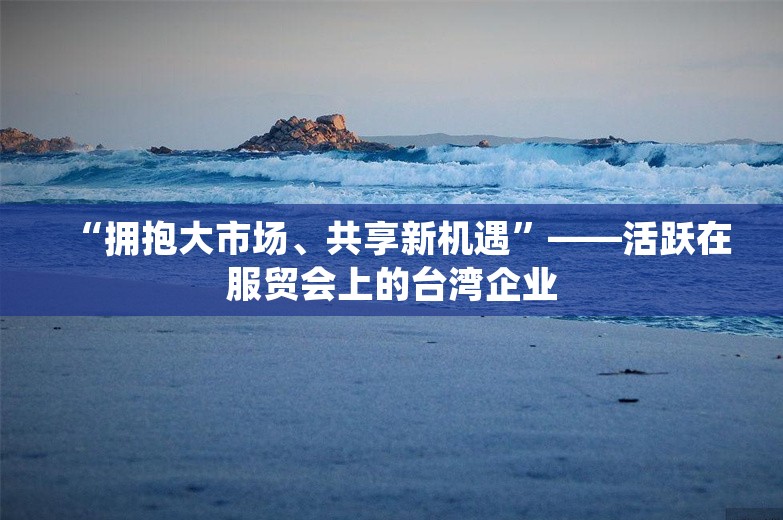 “拥抱大市场、共享新机遇”——活跃在服贸会上的台湾企业