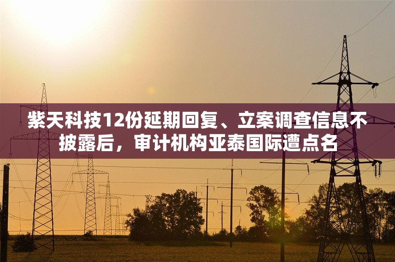 紫天科技12份延期回复、立案调查信息不披露后，审计机构亚泰国际遭点名