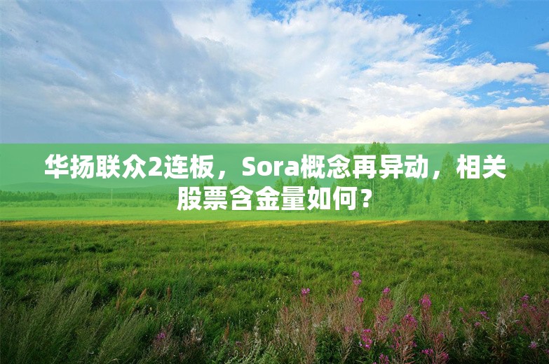 华扬联众2连板，Sora概念再异动，相关股票含金量如何？