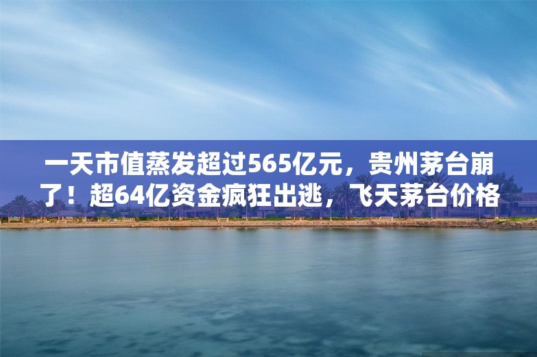 一天市值蒸发超过565亿元，贵州茅台崩了！超64亿资金疯狂出逃，飞天茅台价格不断下挫，卖不动了？21家白酒上市公司存货高达1575亿元