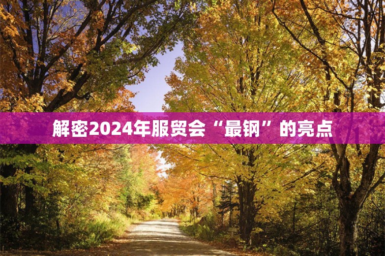 解密2024年服贸会“最钢”的亮点