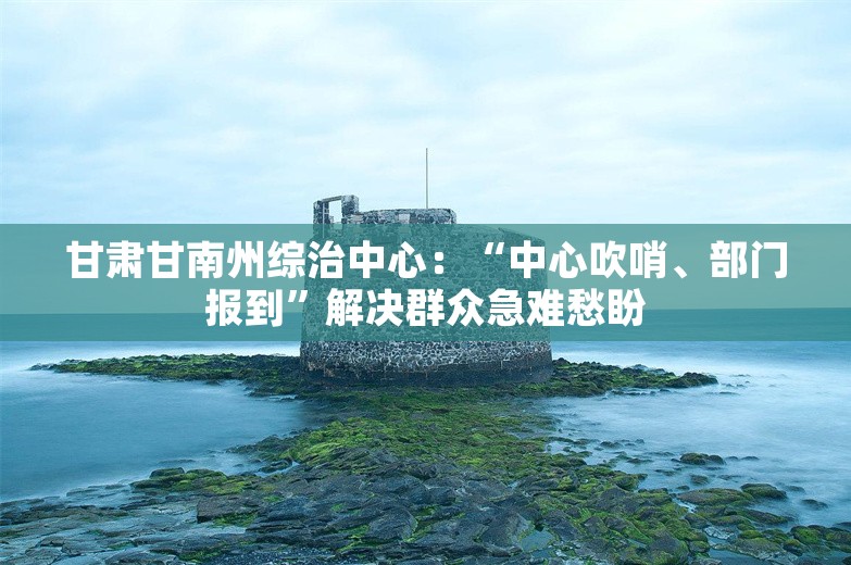 甘肃甘南州综治中心：“中心吹哨、部门报到”解决群众急难愁盼