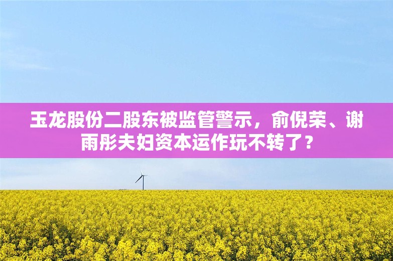 玉龙股份二股东被监管警示，俞倪荣、谢雨彤夫妇资本运作玩不转了？